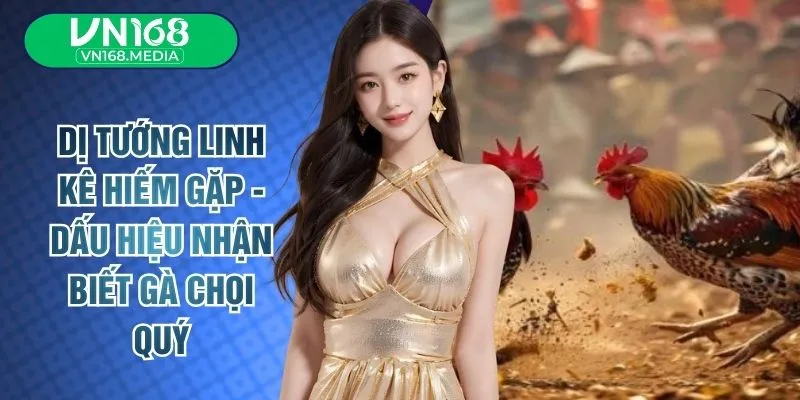 Dị Tướng Linh Kê Hiếm Gặp - Dấu Hiệu Nhận Biết Gà Chọi Quý