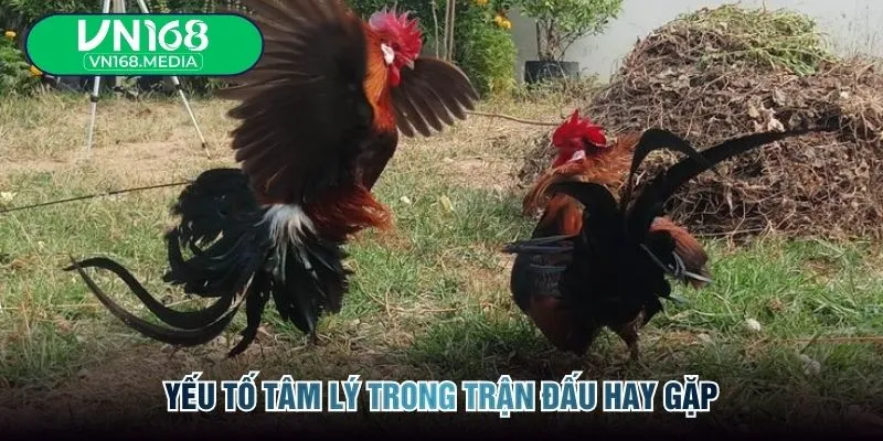 Yếu tố tâm lý trong trận đấu hay gặp